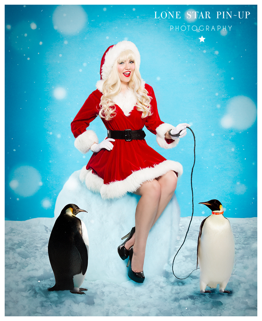 Molly CHRISTMAS PENGUINS