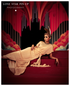 Lone Star Pin-up