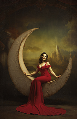 Lone Star Pin-up Themes - Custom Artwork